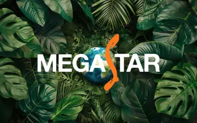 COMUNICACIÓN DEL DESEMPEÑO AMBIENTAL A LAS PARTES INTERESADAS